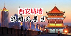 极品大吊中国陕西-西安城墙旅游风景区