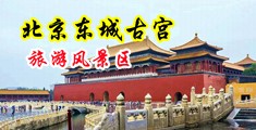 好操的大骚逼中国北京-东城古宫旅游风景区